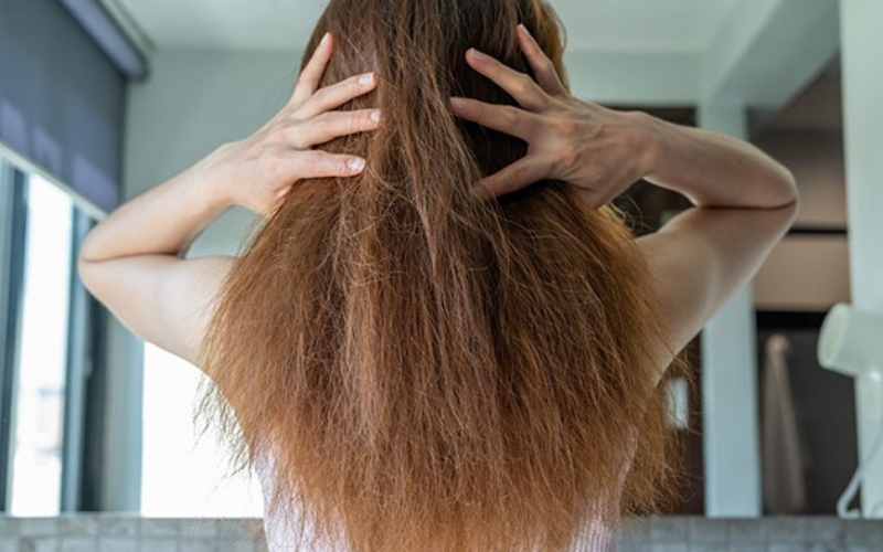 5 nguyên nhân khiến tóc khô xơ và cách phục hồi tại nhà