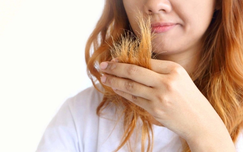5 nguyên nhân khiến tóc khô xơ và cách phục hồi tại nhà