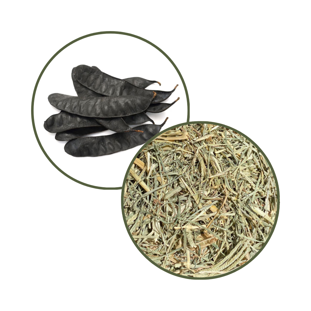 Bồ kết và cỏ mần trầu