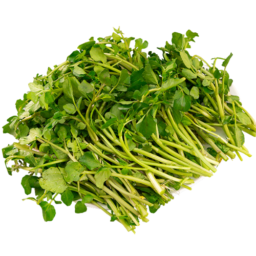 Cải Xoong