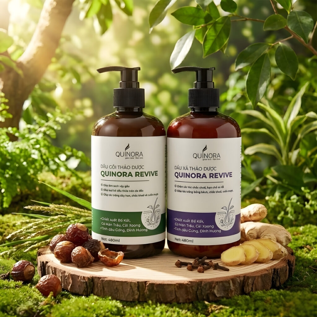 Combo dầu gội + dầu xả thảo dược Quinora Revive