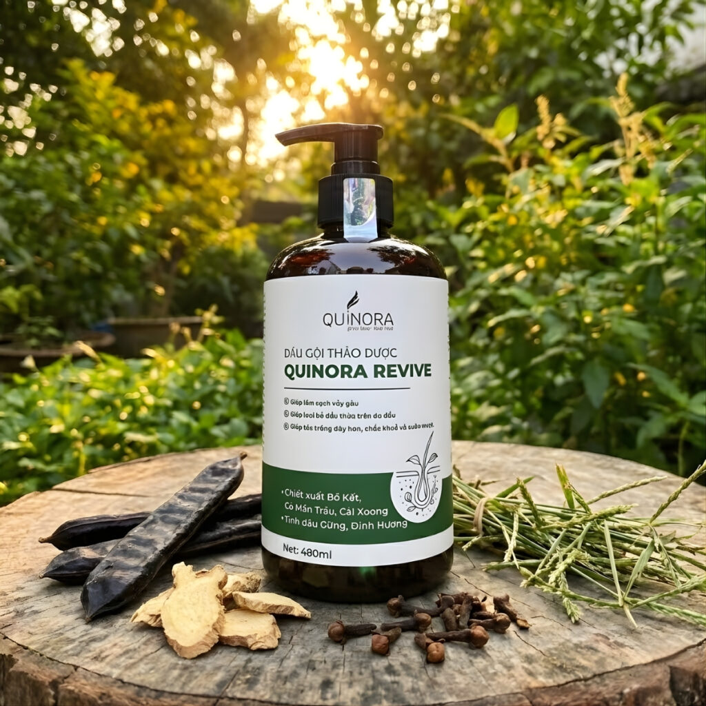 Dầu gội thảo dược Quinora Revive