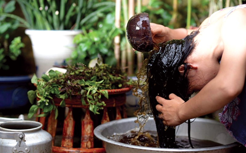 Gội đầu bồ kết: Bí quyết tóc đen mượt sạch gàu của phụ nữ Việt xưa và nay