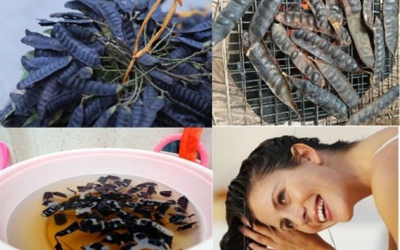 Gội đầu bồ kết: Bí quyết tóc đen mượt sạch gàu của phụ nữ Việt xưa và nay