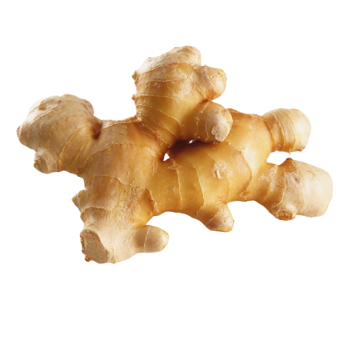 Gừng